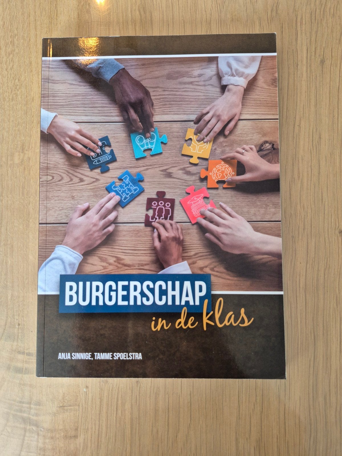 Burgerschap in de klas - Anja Sinnige, Tamme Spoelstra, Boeken, Ophalen of Verzenden, Zo goed als nieuw, Gamma, Anja Sinnige, Tamme Spoelstra