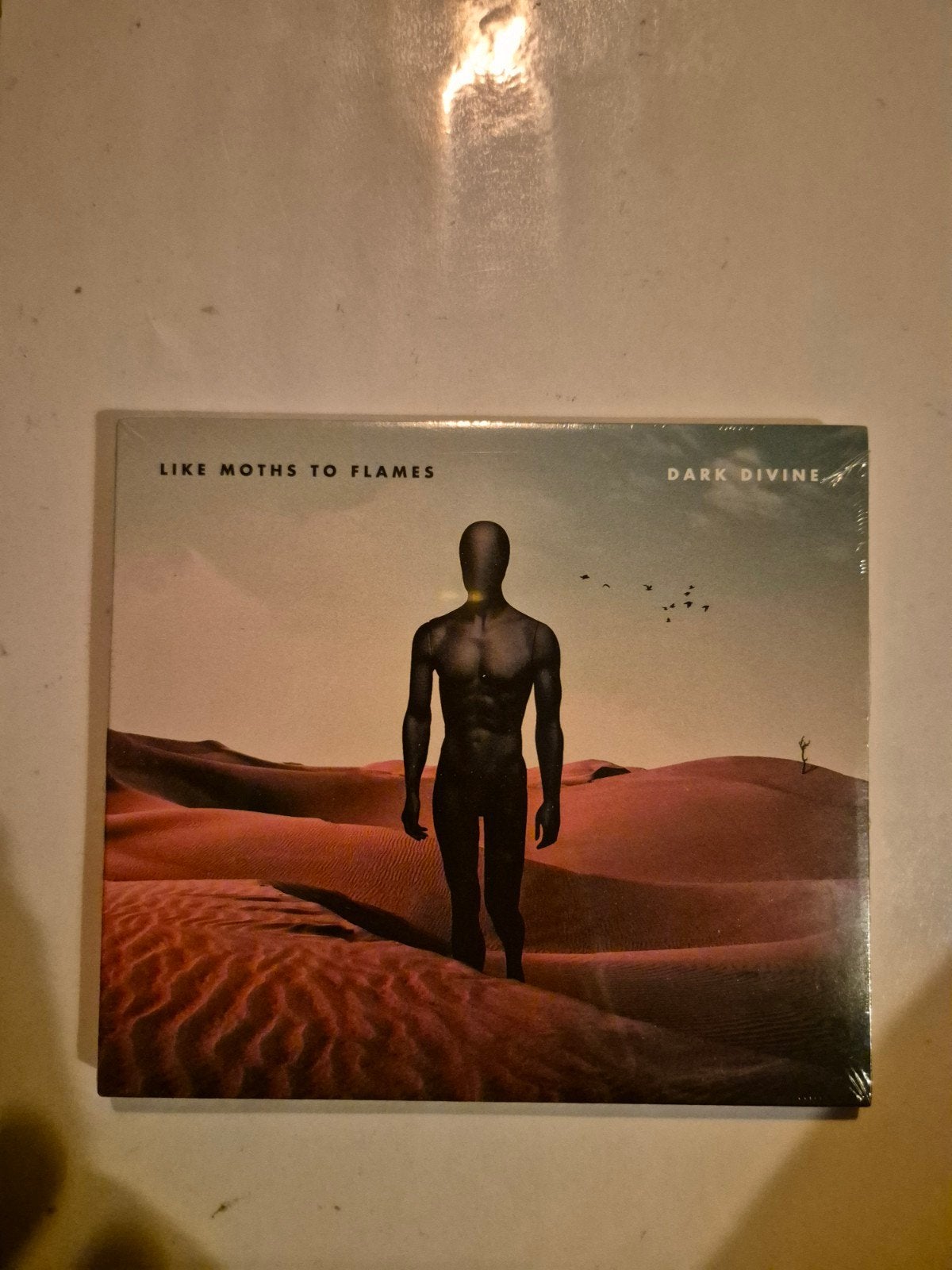 Dark Divine - Like moths to flames. Cd. 2017. NIEUW
Code 405, Ophalen of Verzenden, Nieuw in verpakking