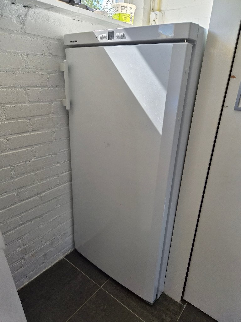 Te koop: Liebherr GNP 1913-21 ijskast, Ophalen, Gebruikt, 120 tot 140 cm, 60 cm of meer