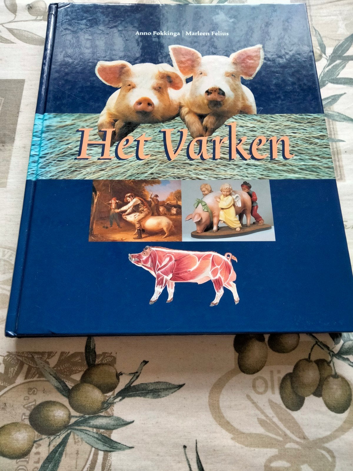 Het Varken - Anno Fokkinga | Marleen Felius, Boeken, Dieren en Huisdieren, Ophalen, Gelezen, Vee, Anno Fokkinga, Marleen Felius