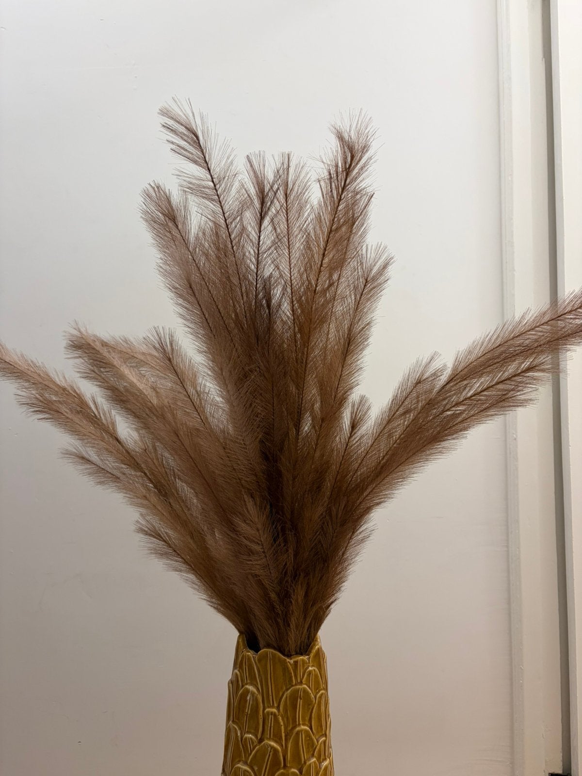Pampas pluimen, Ophalen, Nieuw
