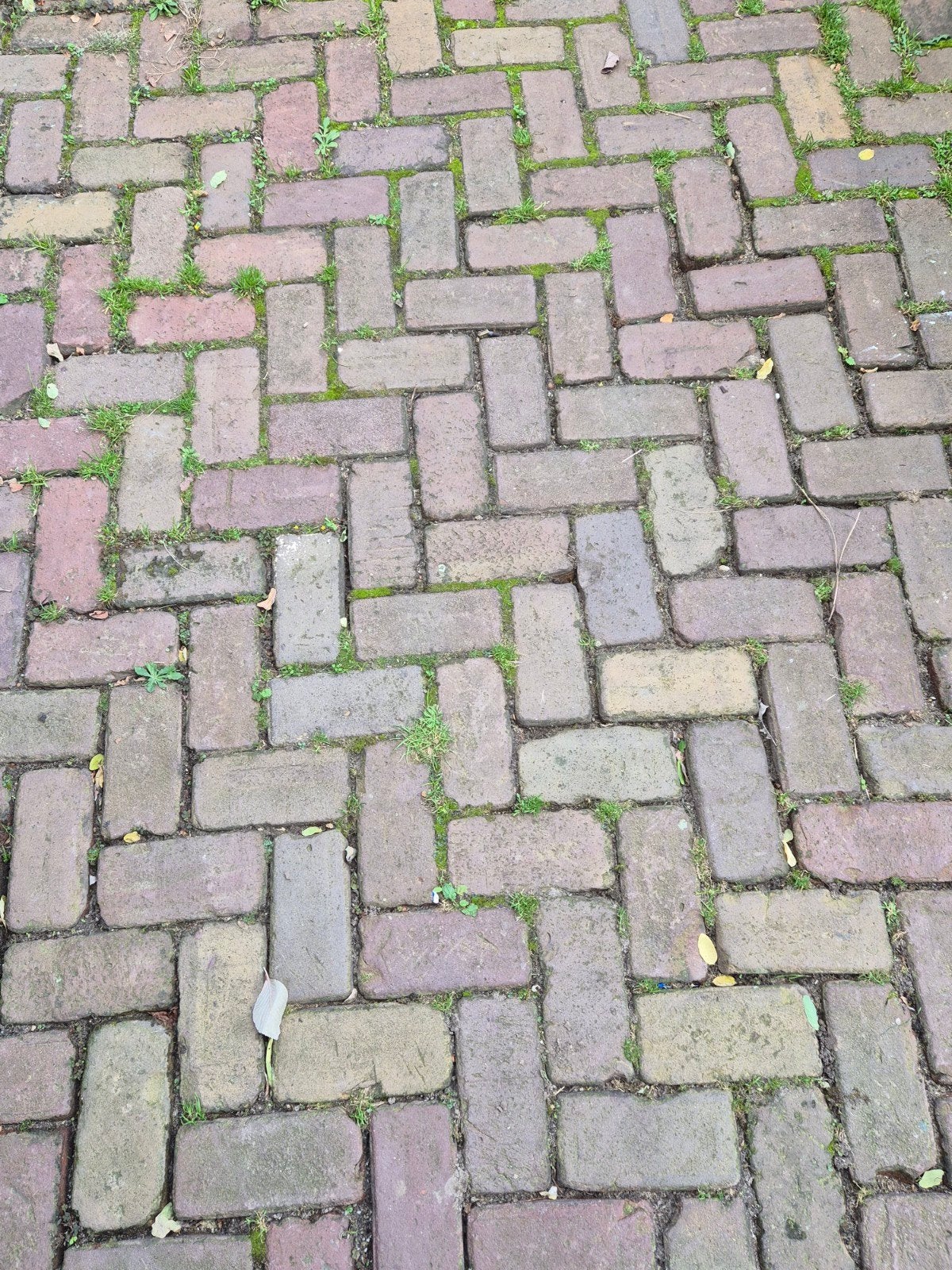 Authentieke gebakken klinkers 30m2, Ophalen, Overige materialen, Gebruikt, Klinkers