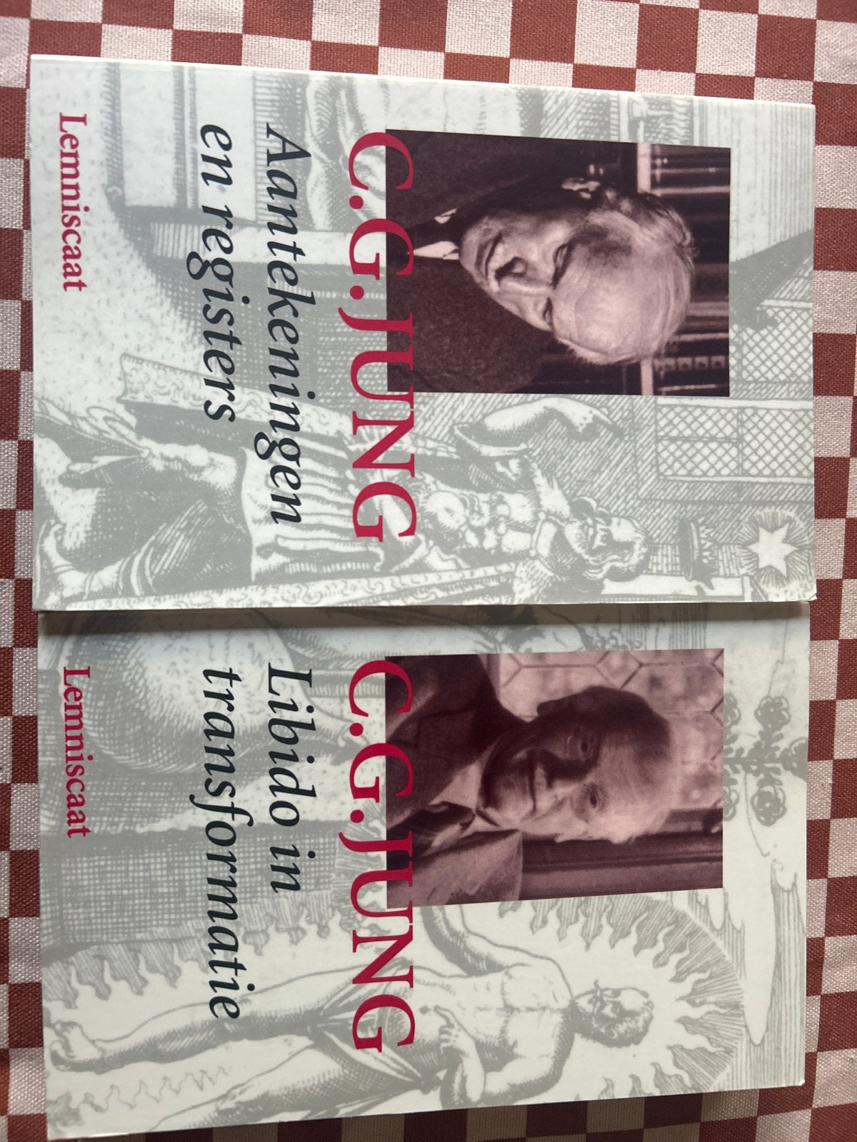 C.G. Jung: Libido in transformatie & Aantekeningen, Ophalen of Verzenden, Zo goed als nieuw, Overige onderwerpen