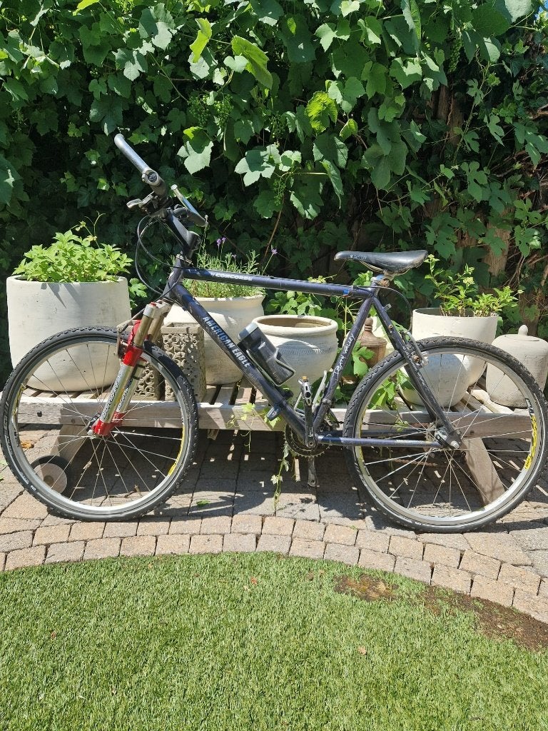 America Eagle Mountain bike, Fietsen en Brommers, Ophalen, Gebruikt, Velgrem, Overige merken