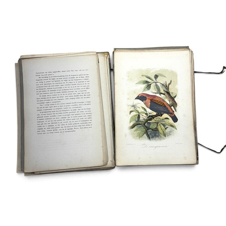 Driedelig 'onze vogels in huis en tuin' met 300 litho's, Ophalen of Verzenden