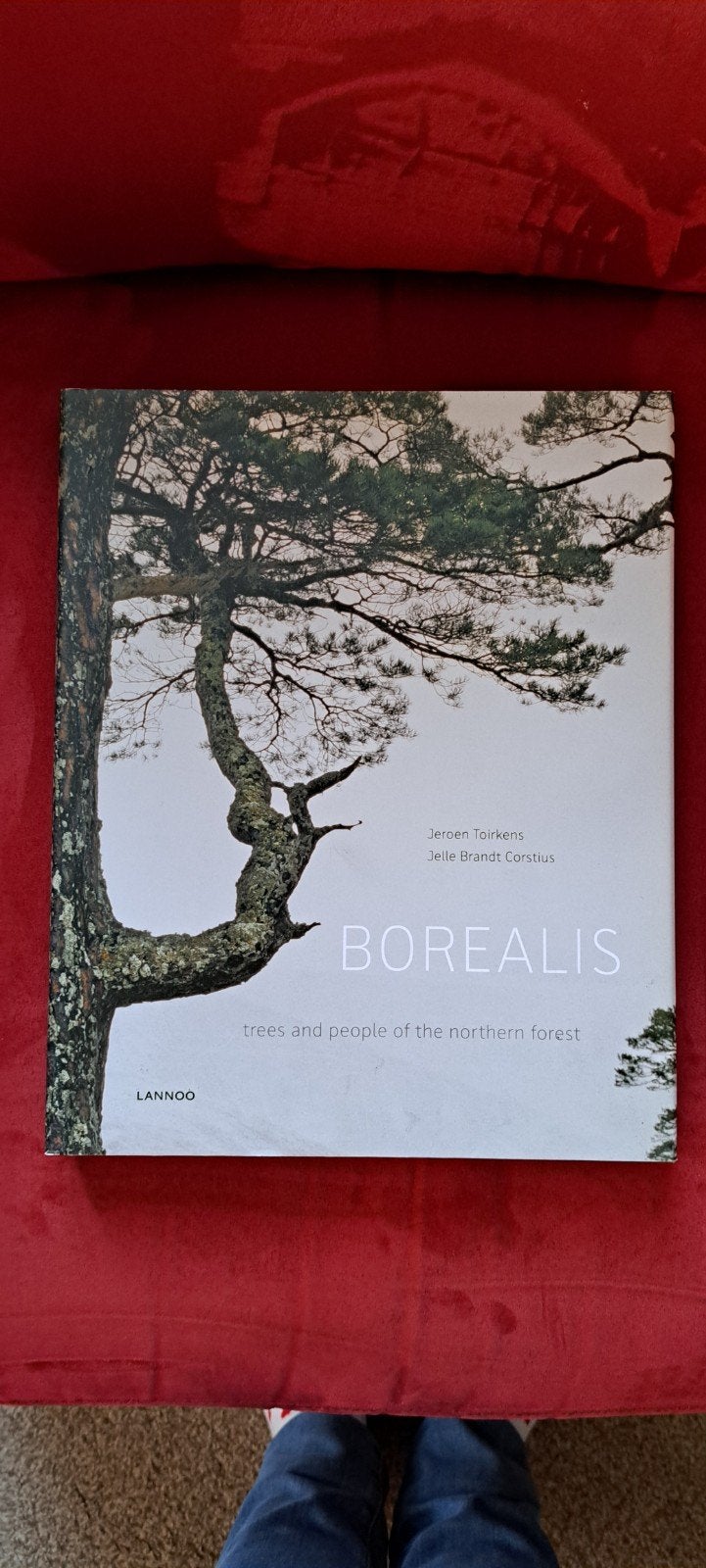 Borealis: Bomen en mensen van het noordelijke bos, Ophalen of Verzenden, Zo goed als nieuw, Natuur algemeen, Jeroen Toirkens, Jelle Brandt Corstius