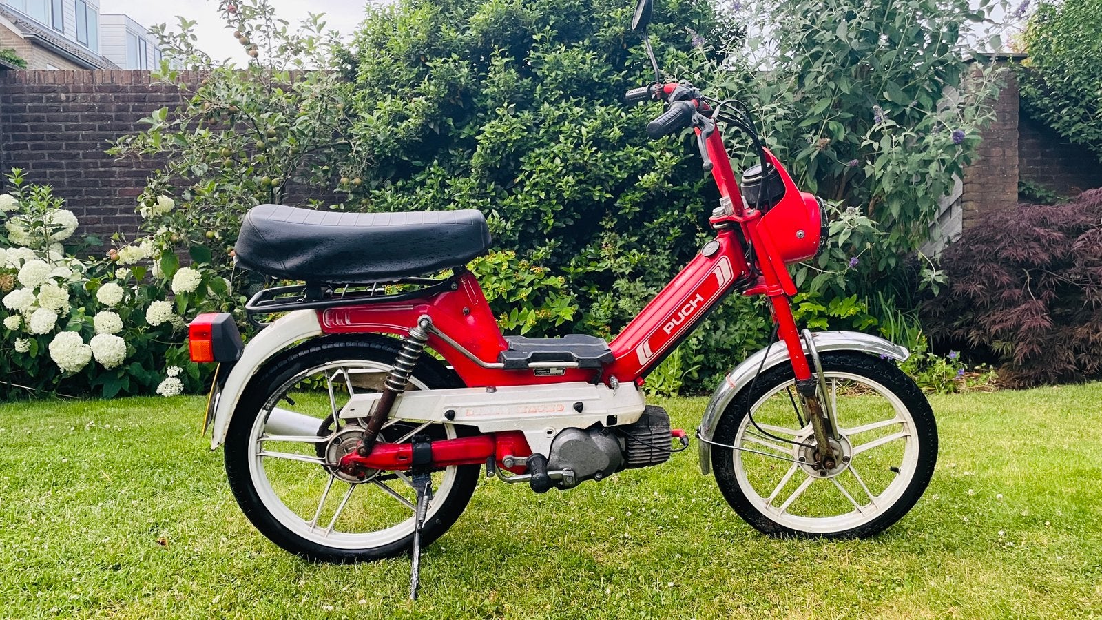 PUCH MAXI S / MACHO RIDER te koop!, Ophalen, Gebruikt, Overige modellen