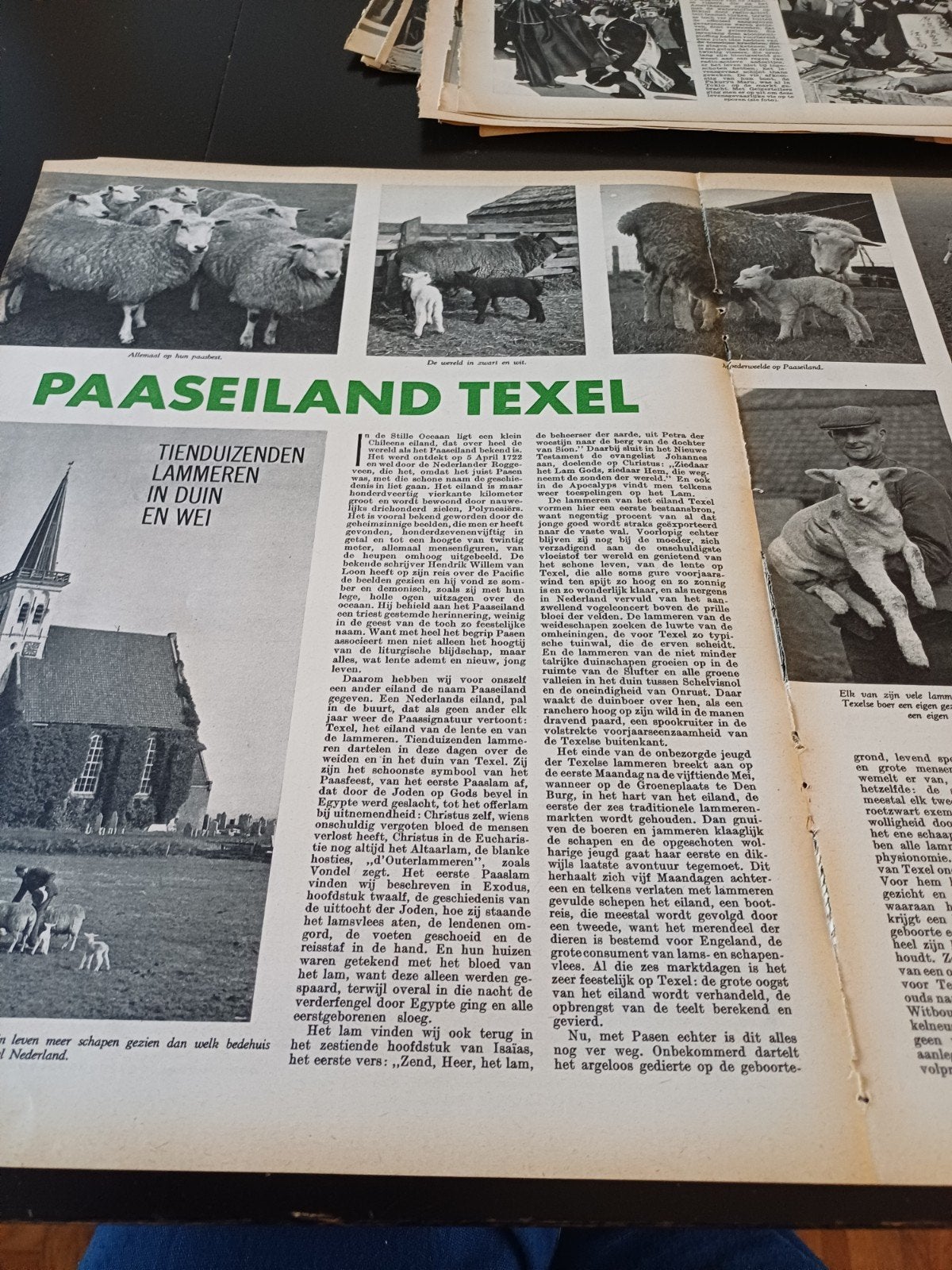 artikel over Texel 1954, Ophalen of Verzenden, 1940 tot 1960, Knipsel(s)