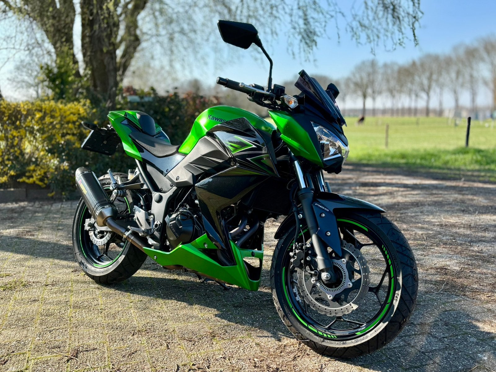 Kawasaki Z300 ABS, 296 cc, 2 cilinders, Particulier, Minimaal motorrijbewijs A2