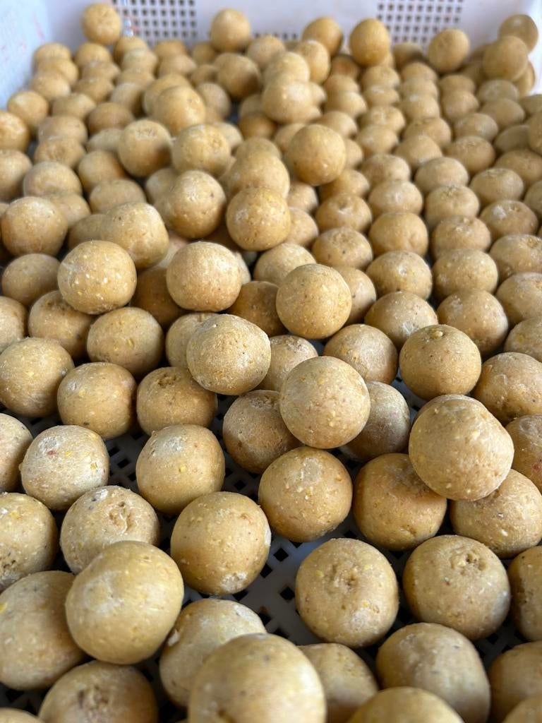 Anti gespuis keiharde boilies, Ophalen of Verzenden, Nieuw, Overige typen