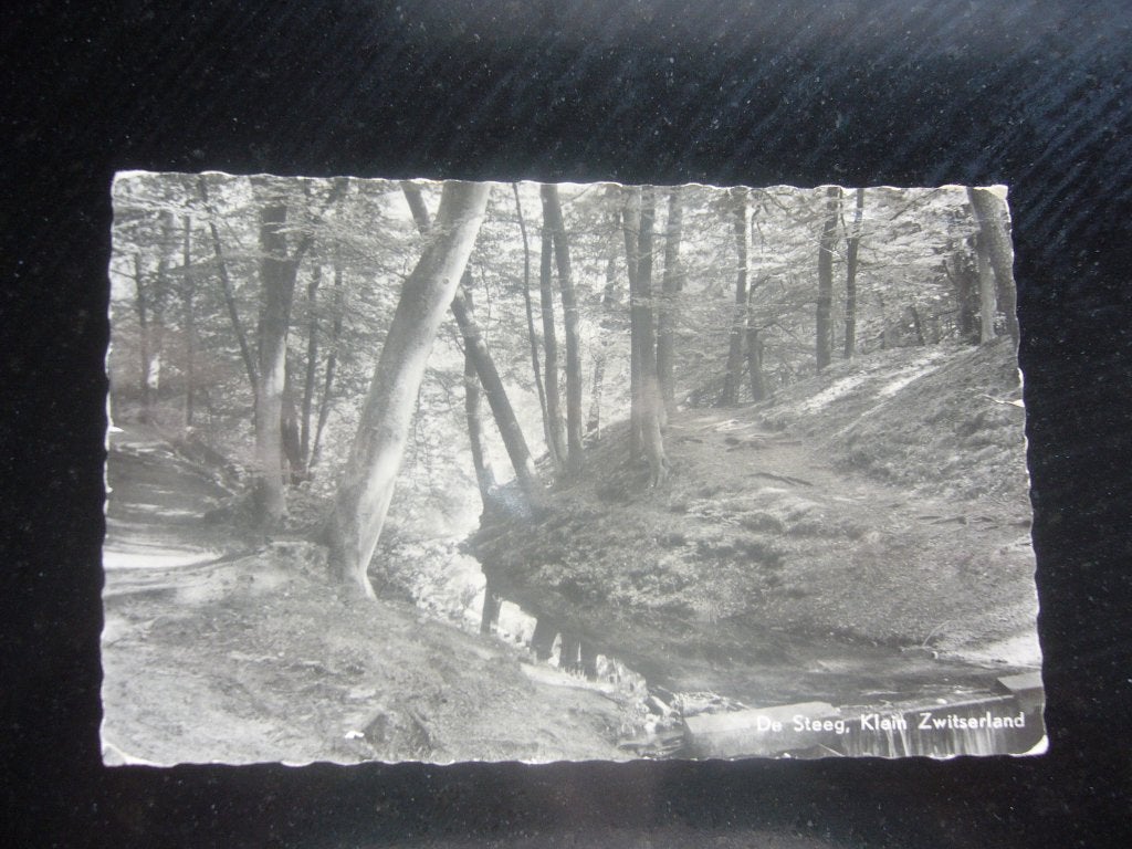 DE STEEG = KLEIN ZWITSERLAND, Ophalen of Verzenden, 1940 tot 1960, Ongelopen, Gelderland