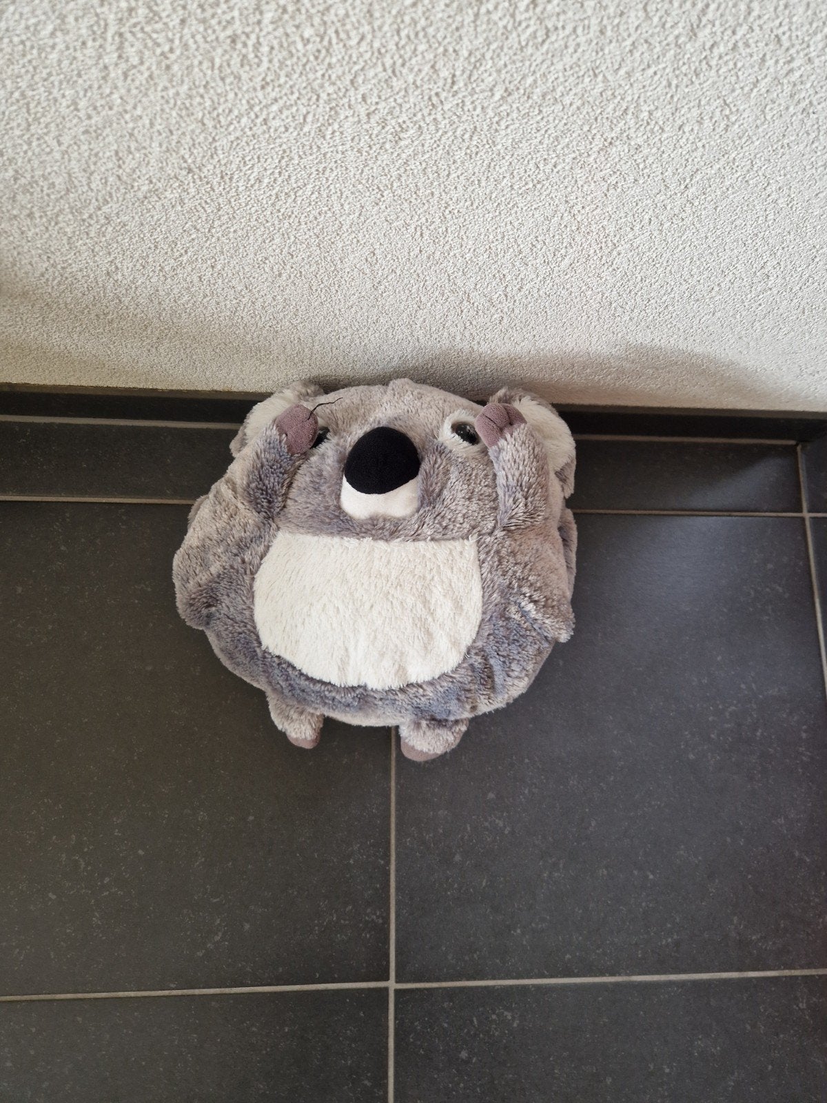 Schattige Koala Handwarmer Knuffel, Kinderen en Baby's, Speelgoed | Knuffels en Pluche, Overige merken, Overige typen, Grijs, Ophalen of Verzenden