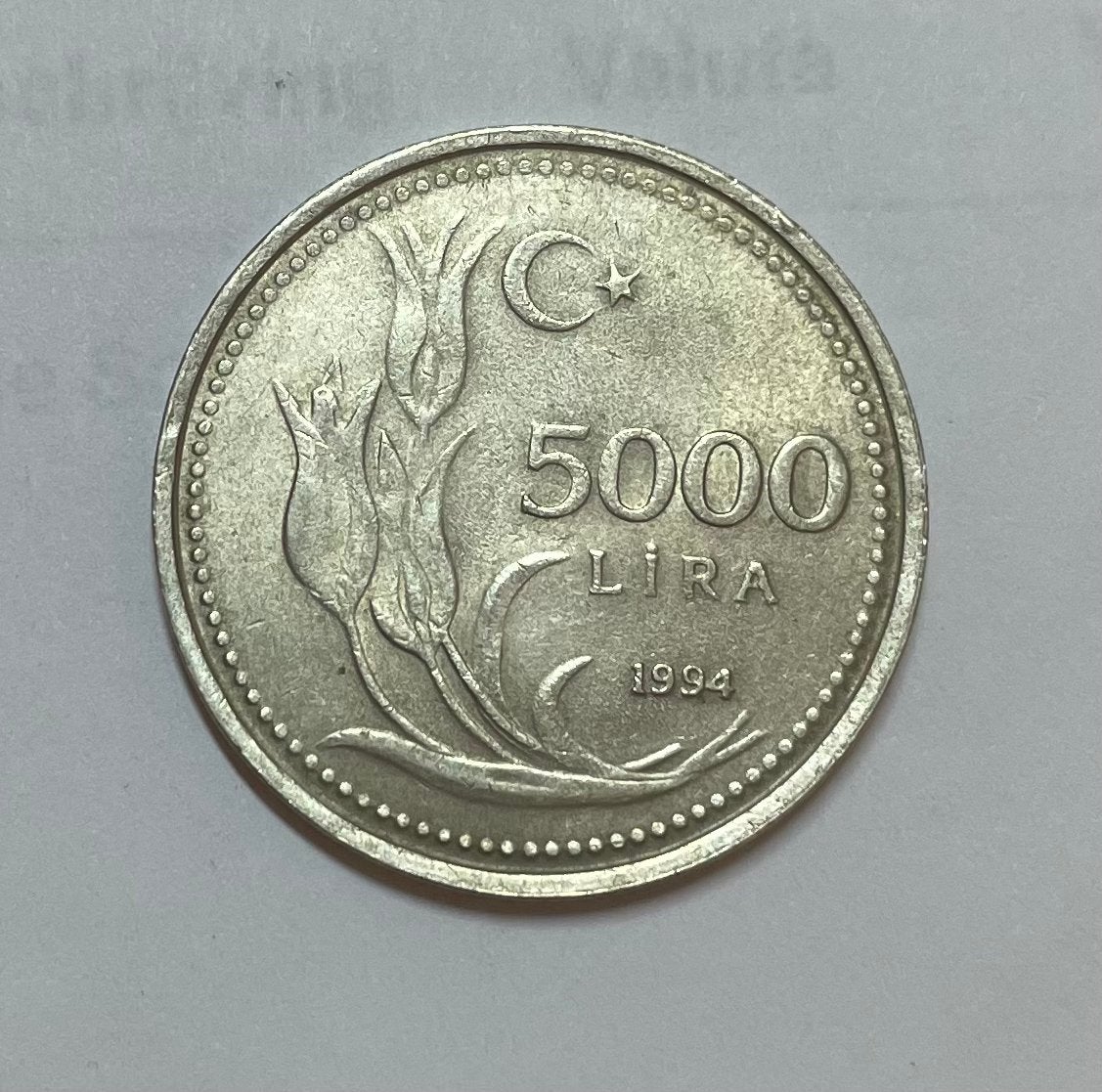 5000 lira Turkije 1994, Ophalen of Verzenden, Overige landen