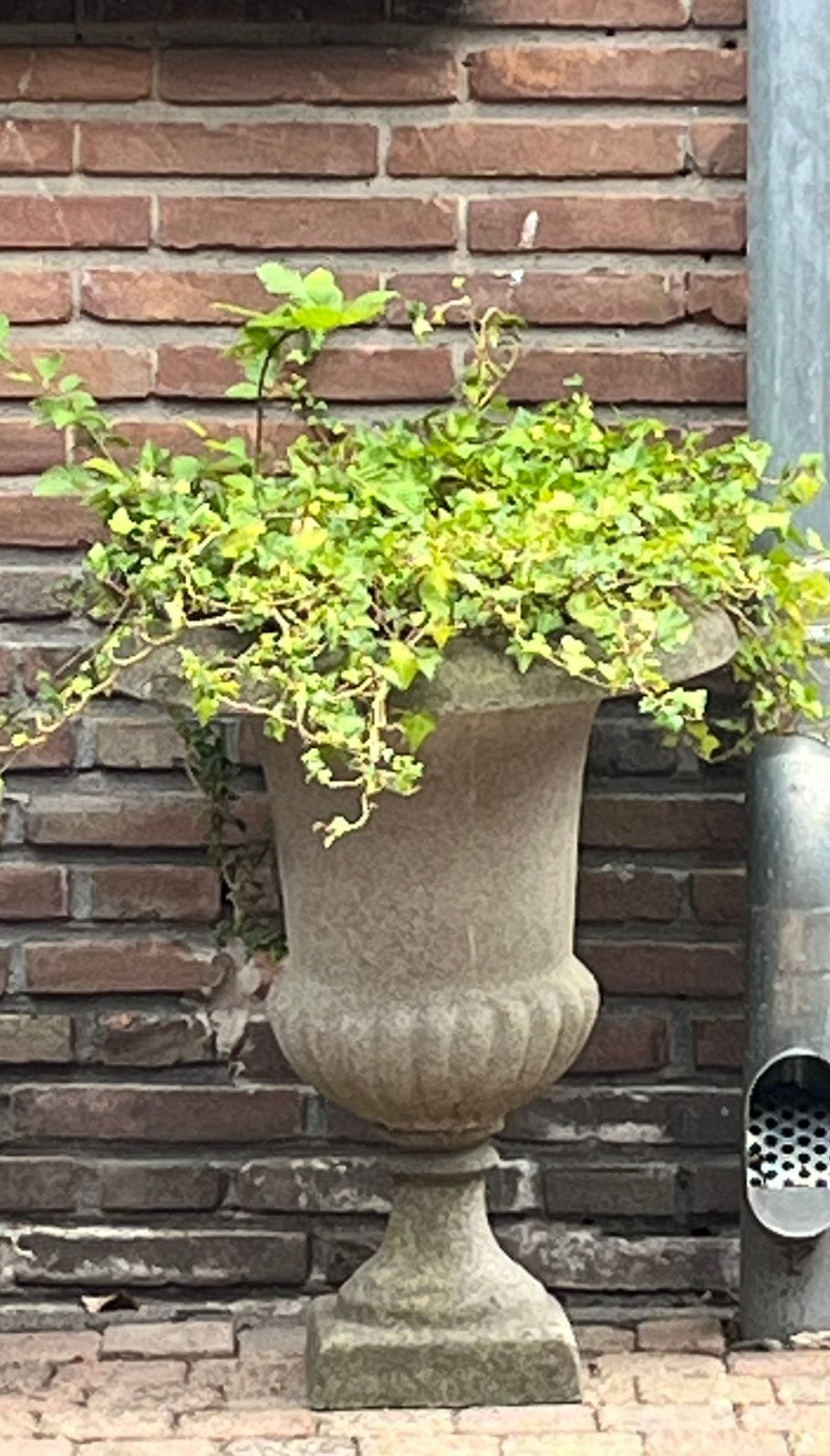 Kunstof planten bak op voet met plant, Tuin en Terras, Tuinvazen, Ophalen, Gebruikt