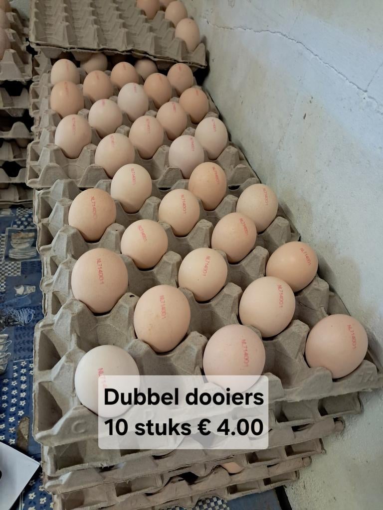 Bruine Scharreleieren Ook Dubbeldooiers, Ophalen