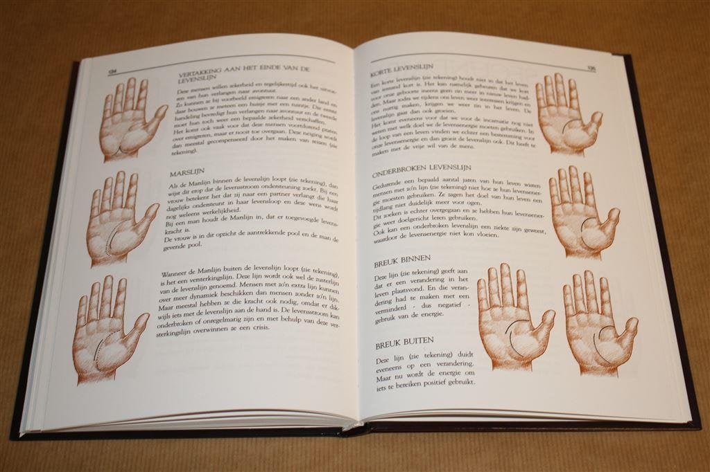 Handanalyse en zelfherkenning. Alles in de hand., Boeken, Ophalen of Verzenden, Zo goed als nieuw, Overige onderwerpen, Achtergrond en Informatie