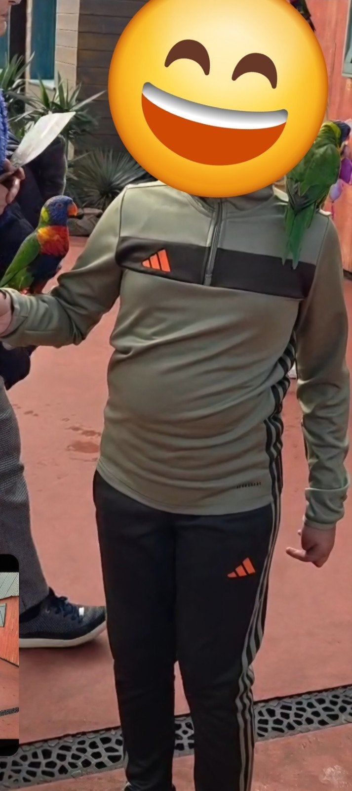 Adidas trainingspak maat 140-152, Adidas, Ophalen of Verzenden, Zo goed als nieuw, Setje