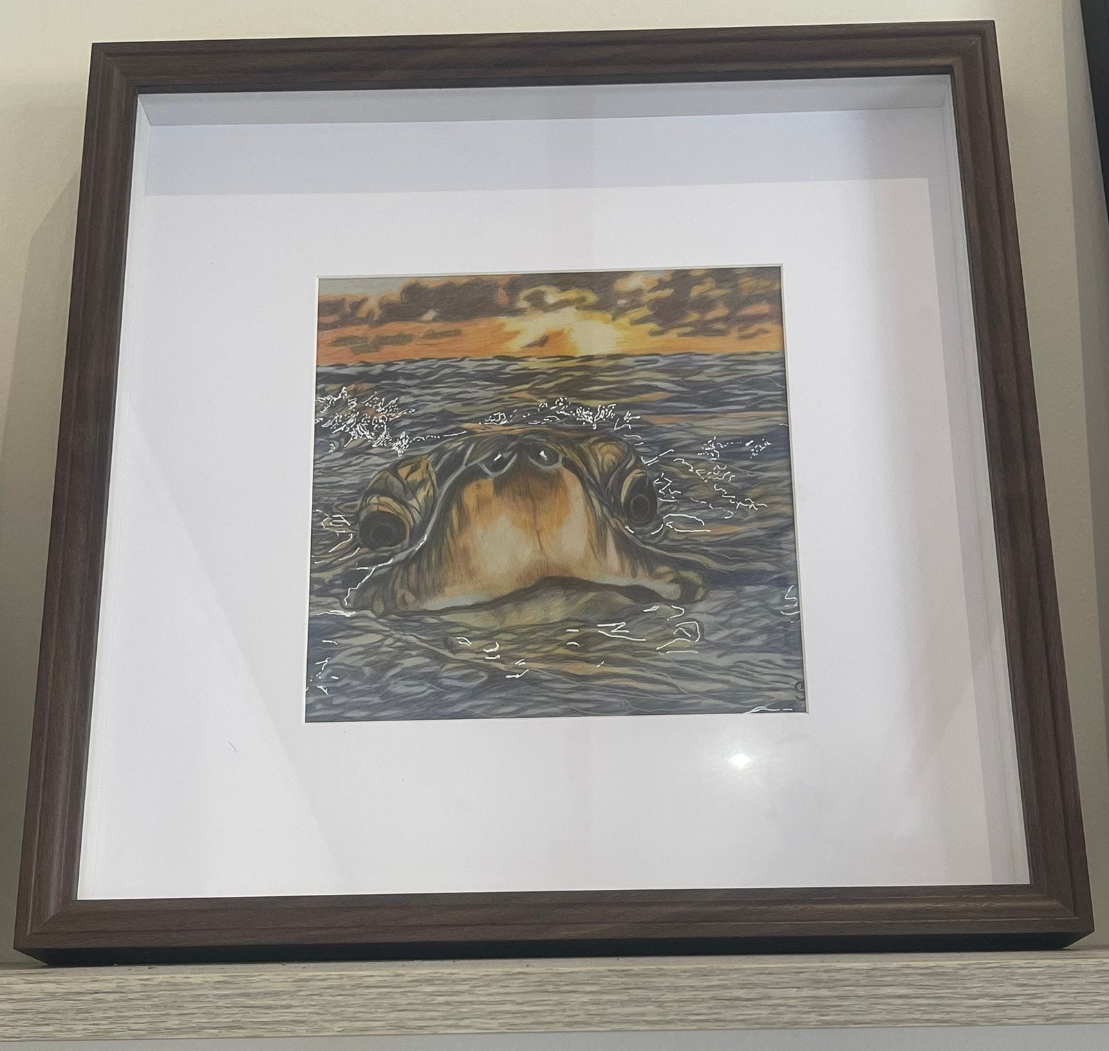 Zeeschildpad tekening., Ophalen of Verzenden
