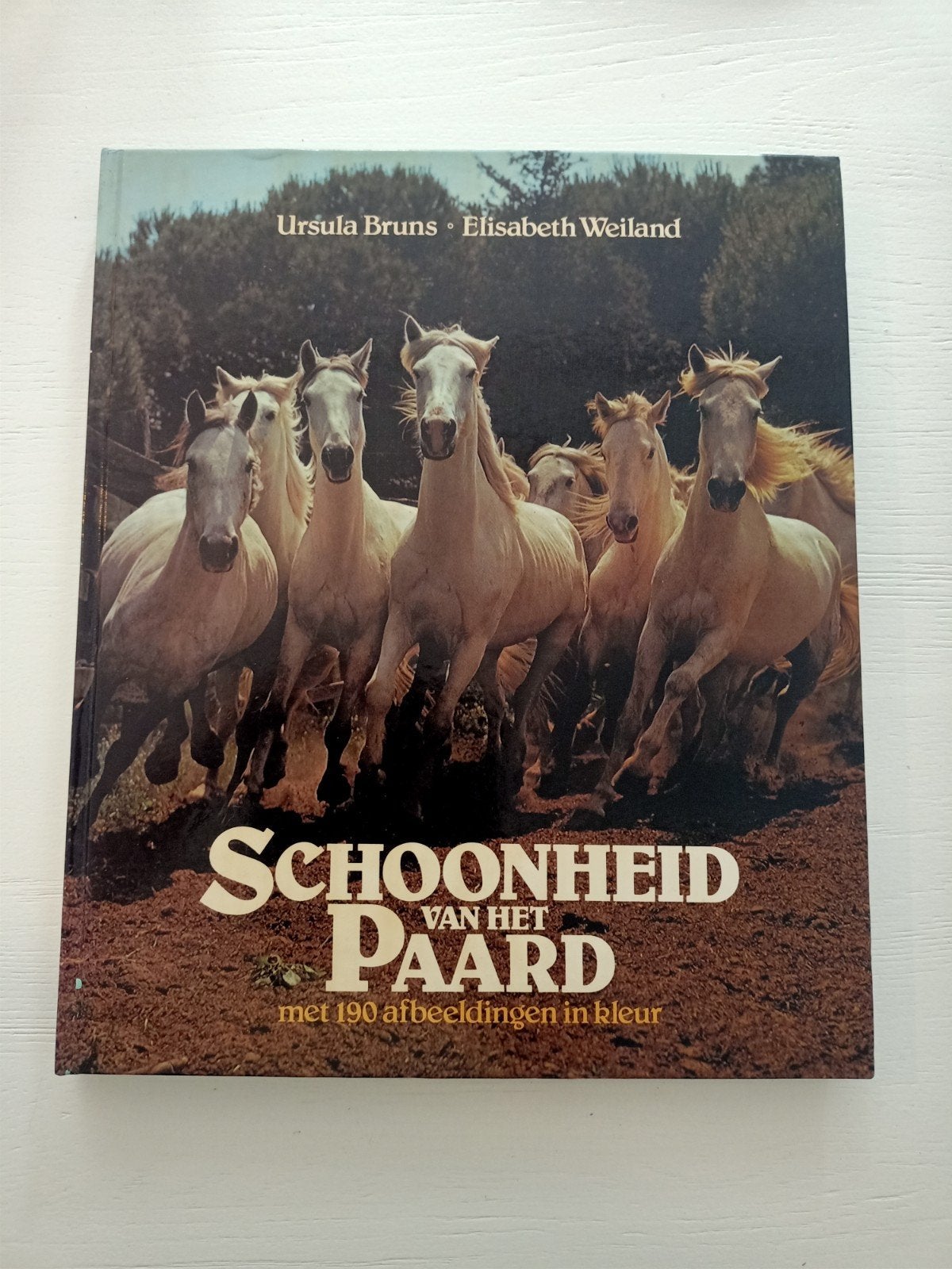 Schoonheid van het Paard - Ursula Bruns & Elisabeth Weiland, Ophalen of Verzenden, Gelezen, Overige onderwerpen, Ursula Bruns, Elisabeth Weiland