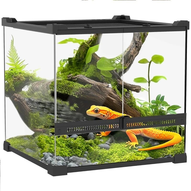 Terrarium nieuw, Dieren en Toebehoren, Reptielen en Amfibieën | Toebehoren, Ophalen, Nieuw