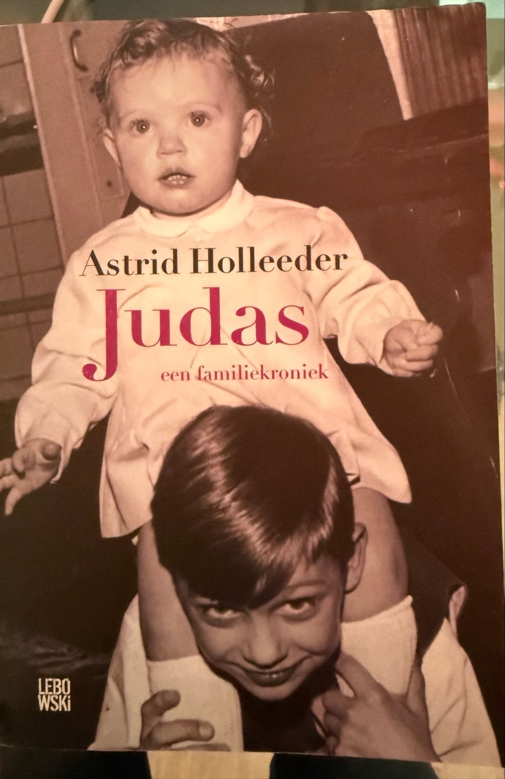 Judas: Een Familiekroniek - Astrid Holleeder, Ophalen of Verzenden, Gelezen, Overige