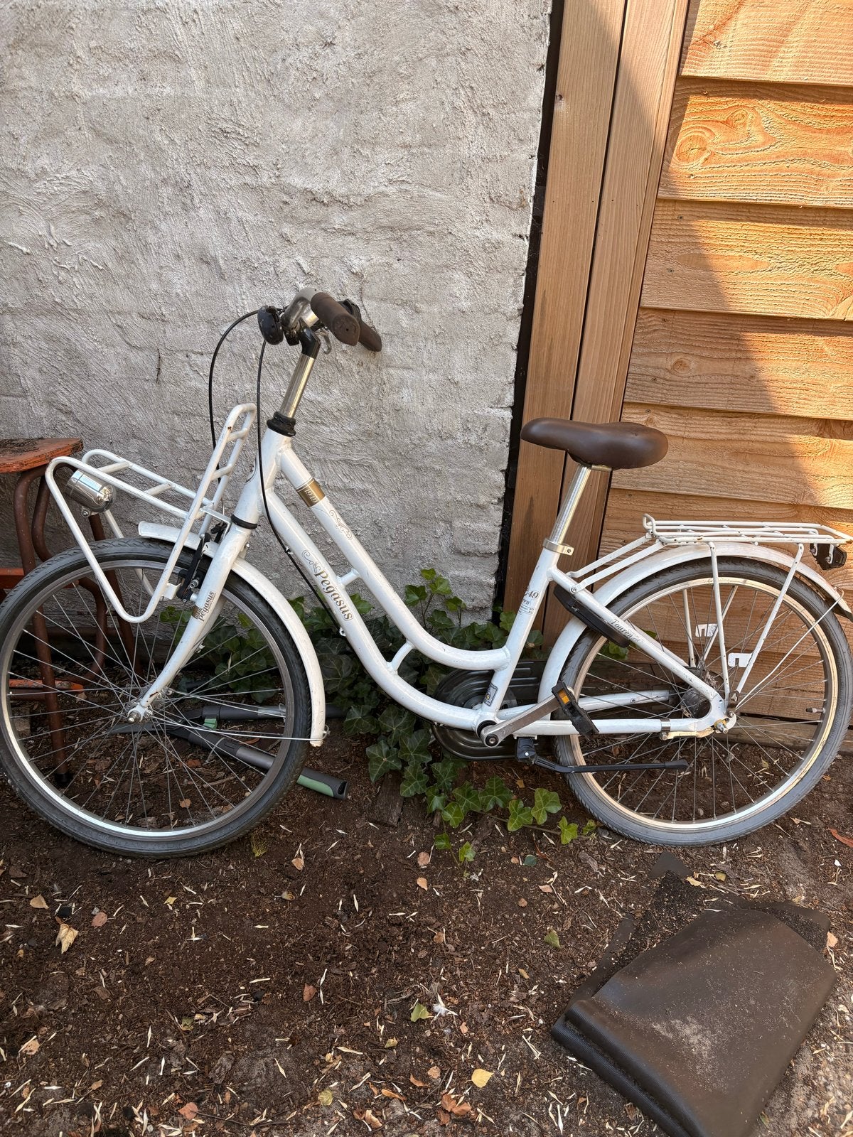 Pegasus damesfiets met lage instap en voordrager, 50 tot 53 cm, Trommelrem, Ophalen, Overige merken