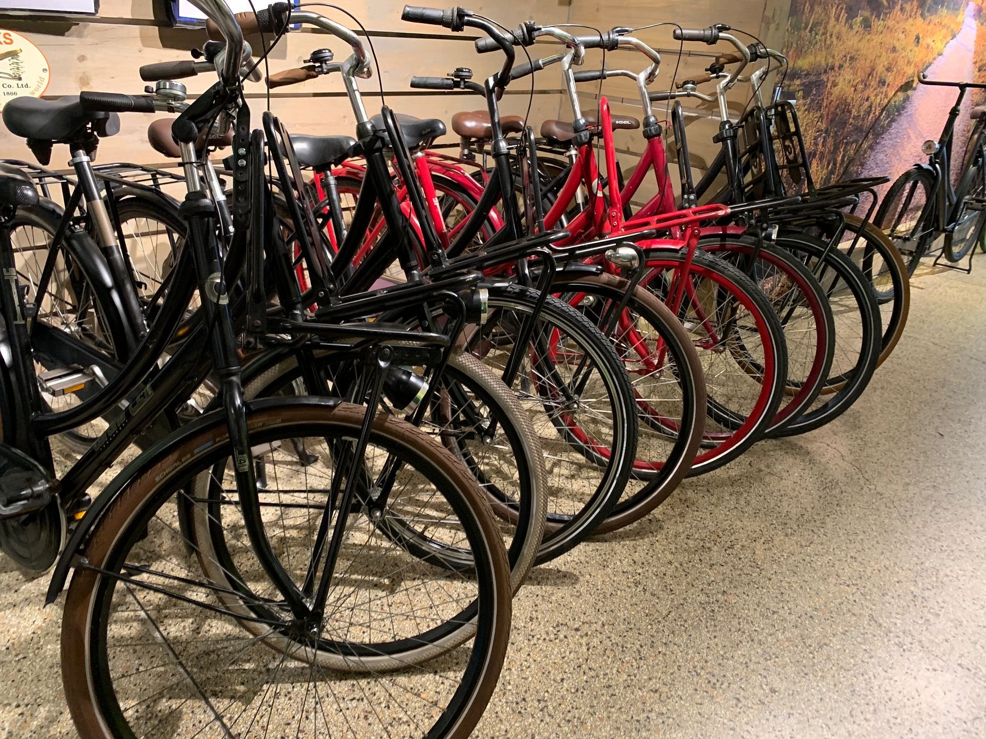 Cortina dames fietsen vanaf €249, Overige merken, -, -, Zo goed als nieuw