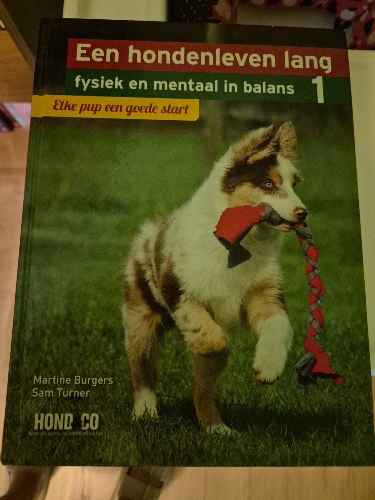 Een hondenleven lang: Elke pup een goede start, Boeken, Dieren en Huisdieren, Verzenden, Zo goed als nieuw, Honden, Martine Burgers, Sam Turner