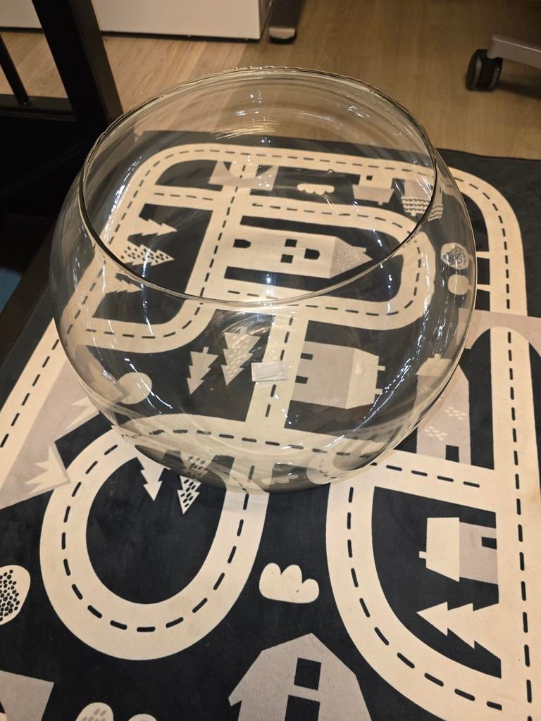 Glazen schaal/vissenkom - Rond, Ophalen, Nieuw, Rond, Glas