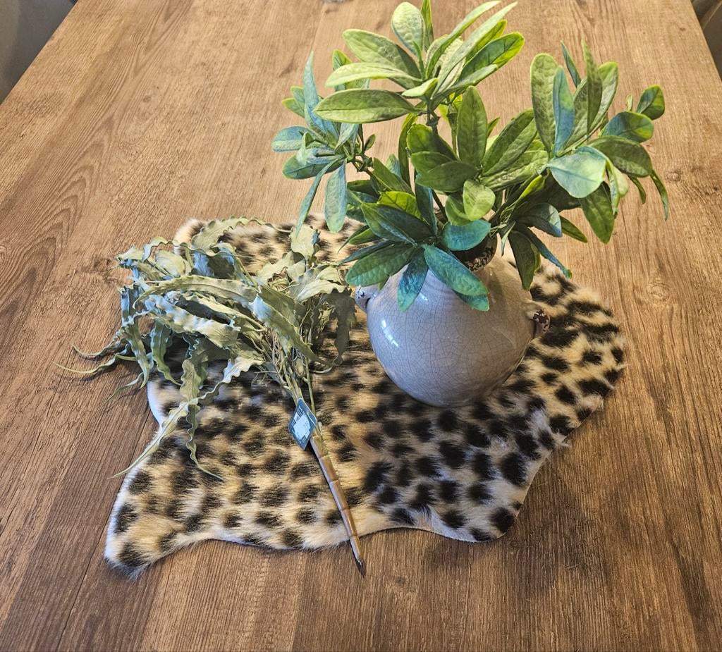 Decoratie Brynxz, Ophalen, Zo goed als nieuw