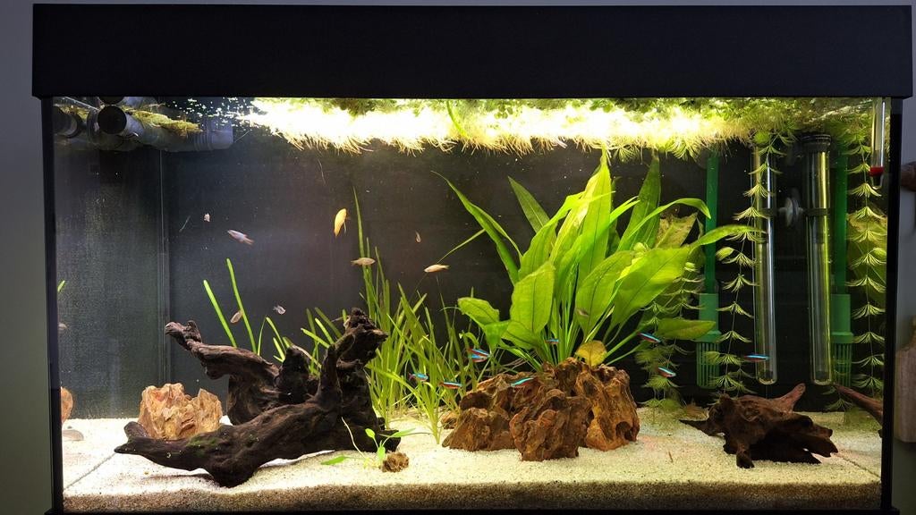 Aquarium Juwel Rio 125 compleet incl. meubel en toebehoren, Dieren en Toebehoren, Vissen | Aquaria en Toebehoren, Ophalen, Gebruikt