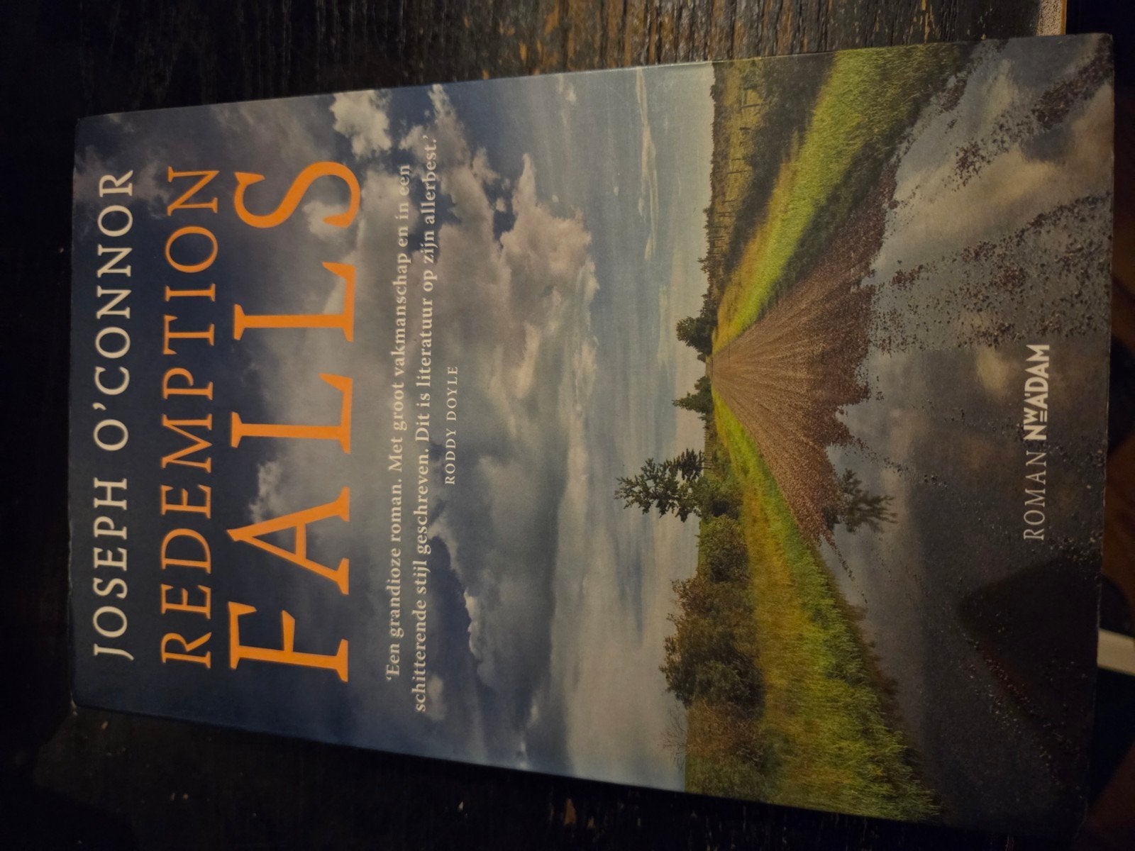 Redemption Falls, Boeken, Ophalen of Verzenden, Zo goed als nieuw