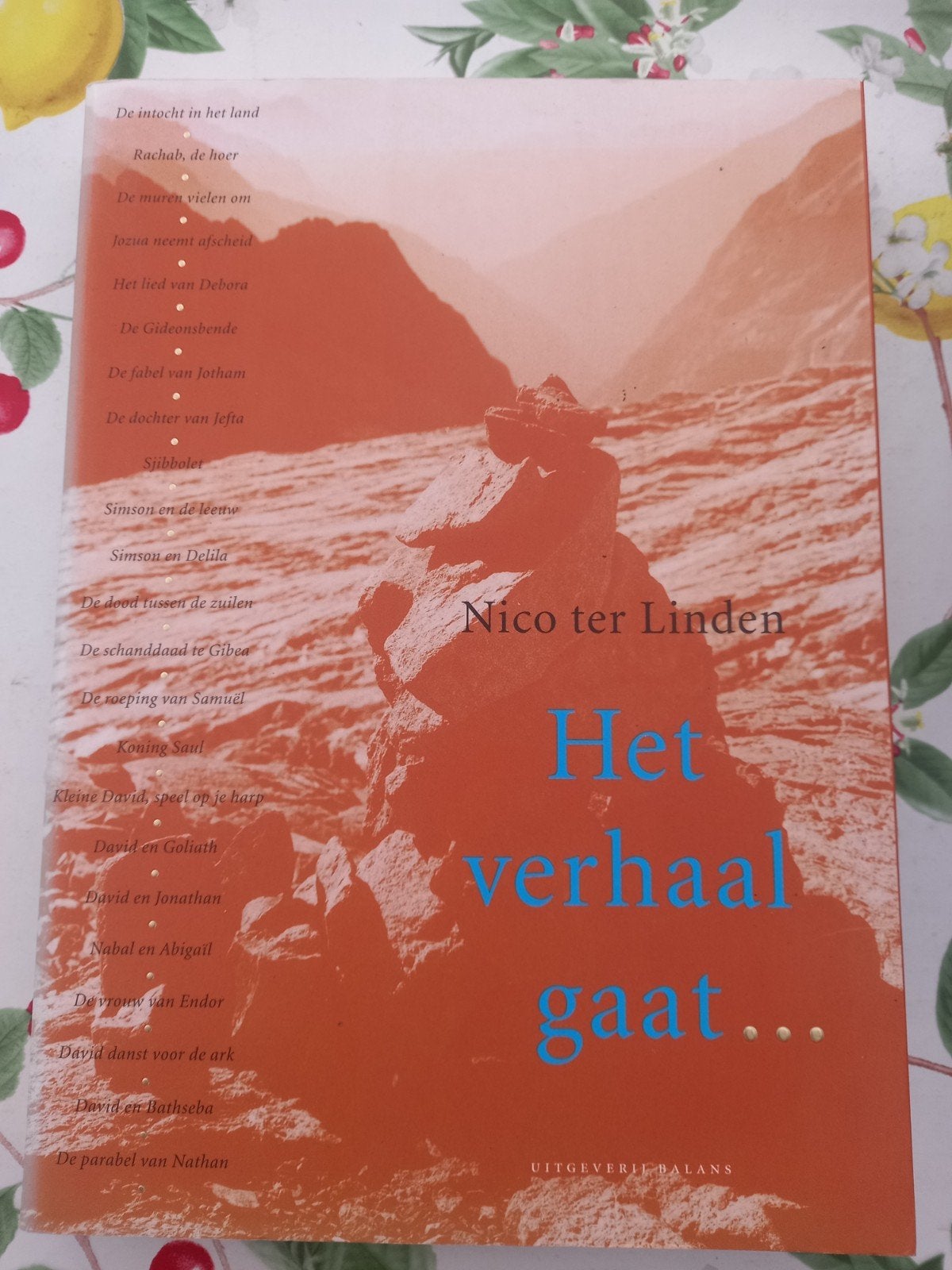 T Nico ter Linden - Het verhaal gaat..., Boeken, Ophalen of Verzenden, Gelezen, Nico ter Linden, Christendom | Protestants