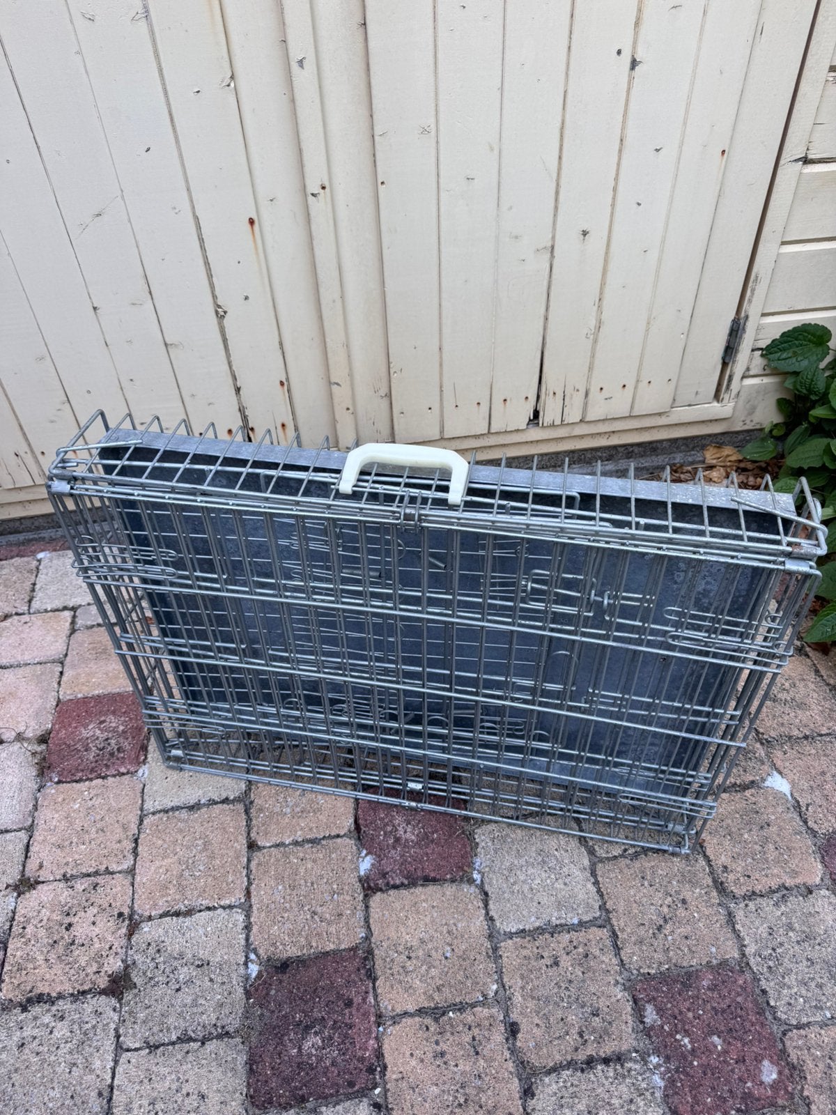 Honden bench, Dieren en Toebehoren, Hondenhokken, Ophalen of Verzenden, Gebruikt, Minder dan 65 cm