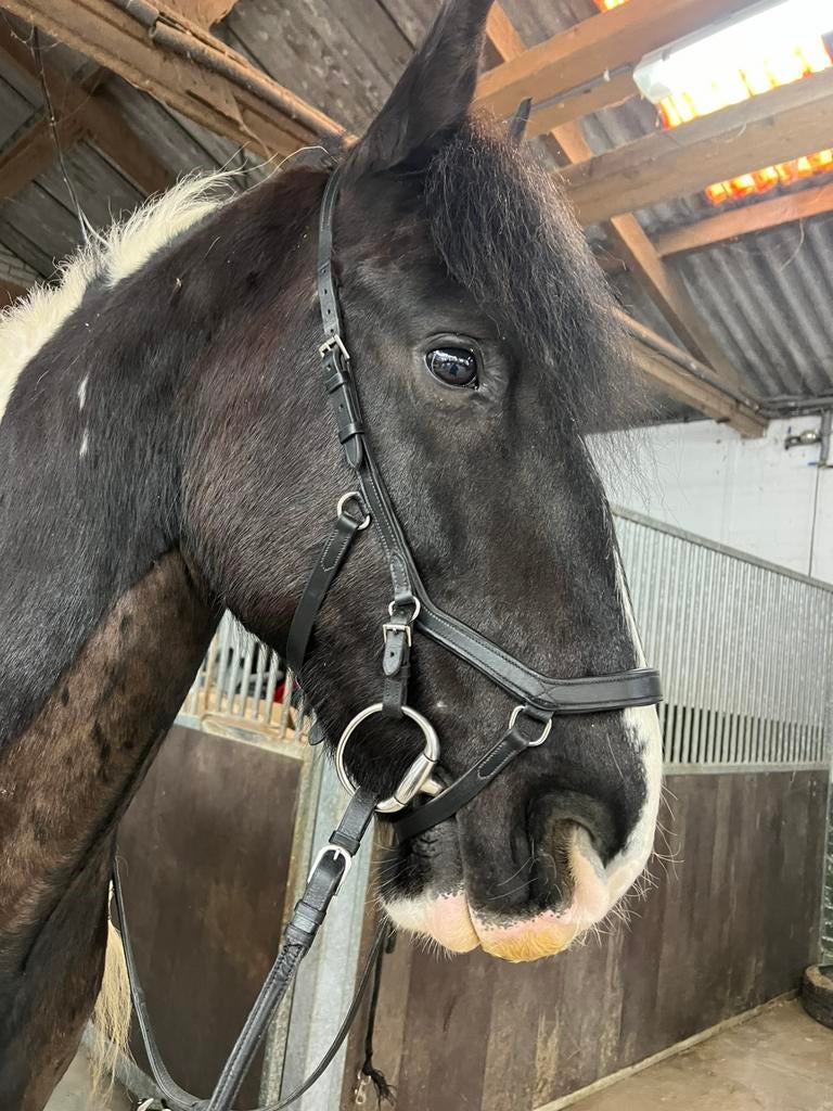 Rambo micklem cob/full, Dieren en Toebehoren, Paarden en Pony's | Hoofdstellen en Tuigage, Ophalen of Verzenden, Zo goed als nieuw