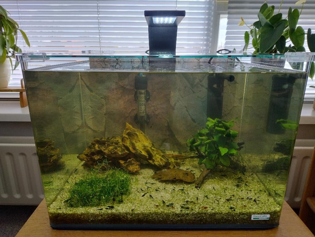 Compleet Dennerle aqarium 35 liter met inhoud, Dieren en Toebehoren, Ophalen, Gebruikt, Dennerle, Gevuld zoetwateraquarium