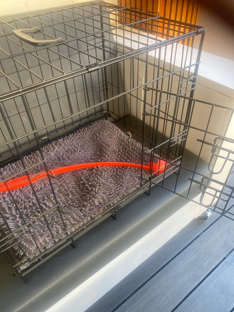 Honden benches, Dieren en Toebehoren, Verzenden, Zo goed als nieuw