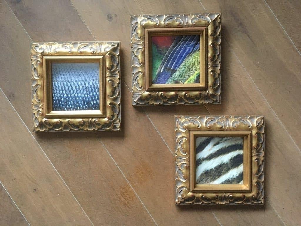 Set van 3 ingelijste fotoprints van dierenhuiden, Ophalen of Verzenden, Print, Fotografie, Ingelijst