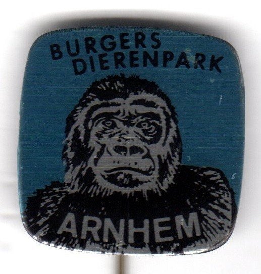 Speldje BURGERS DIERENPARK ARNHEM AAP GORILLA (A5), Ophalen of Verzenden, Gebruikt, Overige onderwerpen