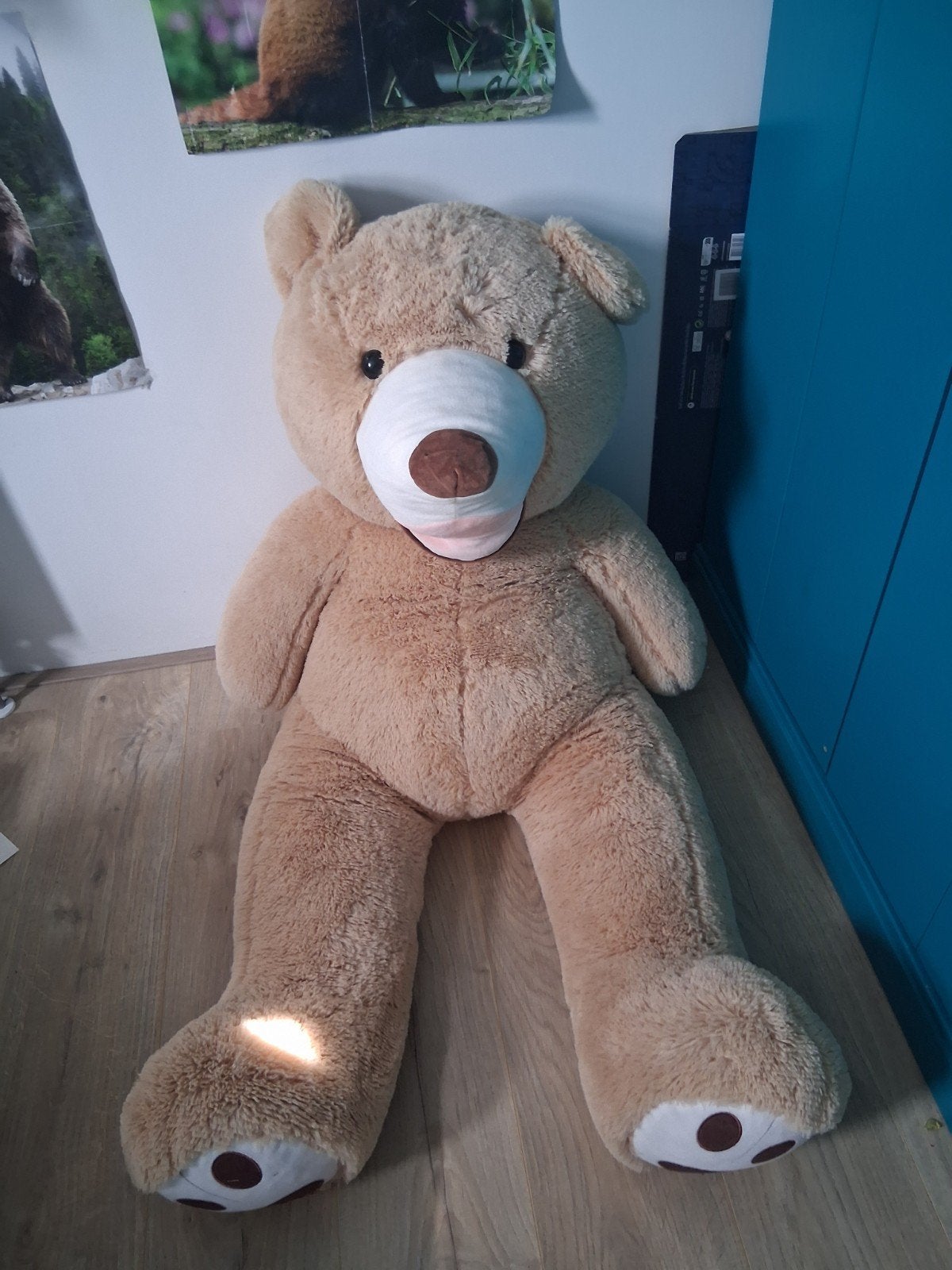 Grote knuffel beer, Ophalen, Beer, Zo goed als nieuw, Bruin