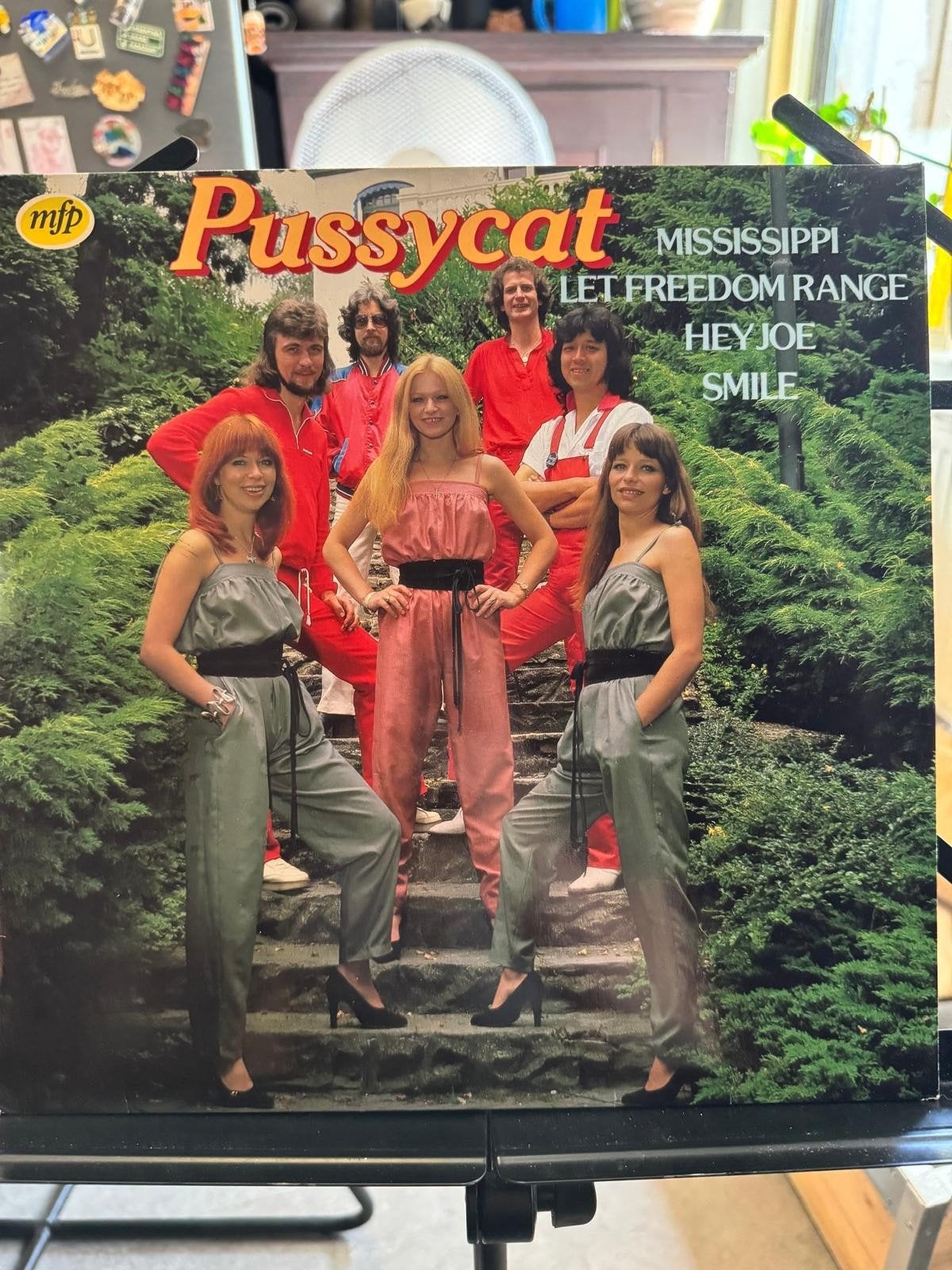 Pussycat - Mississippi LP (1976) Pop Rock Vinyl, LP, Gebruikt, Pop, Ophalen of Verzenden