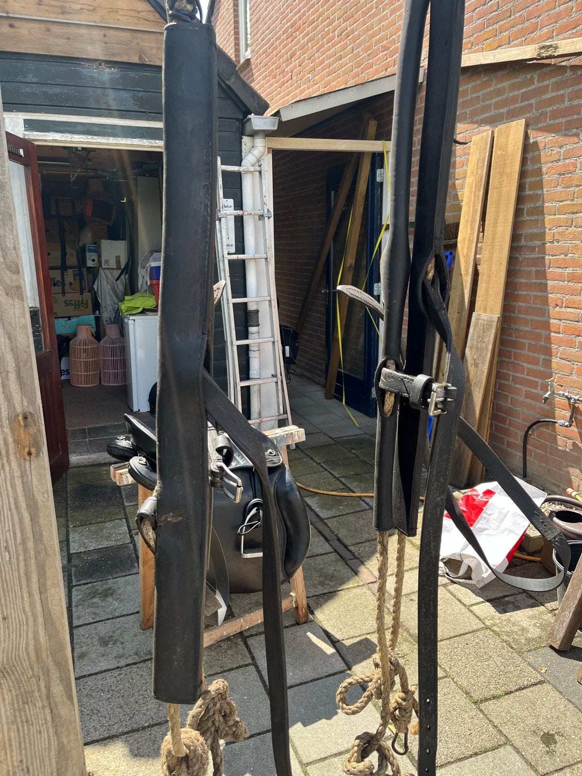 Strengen touw met leren stoot voor koudbloed, Ophalen of Verzenden, Overige soorten