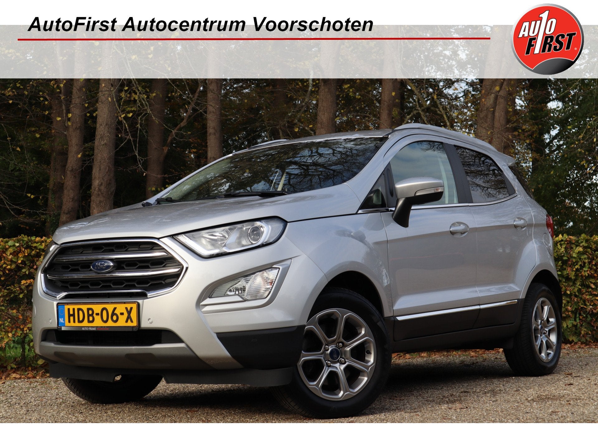 Ford EcoSport 1.0 EcoBoost Titanium | Automaat | Navi | Deal, 12 maanden, Gebruikt, Ecosport, Leder en Stof