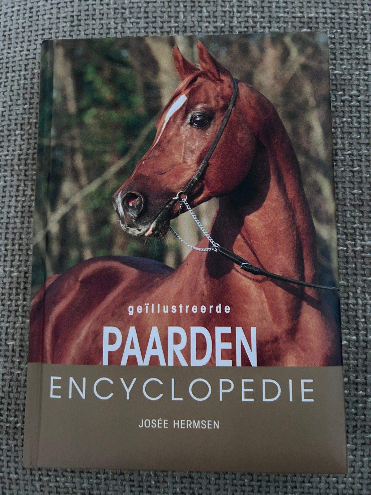 J. Hermsen - Paarden encyclopedie, Boeken, Ophalen of Verzenden, Zo goed als nieuw, J. Hermsen, Paarden of Pony's