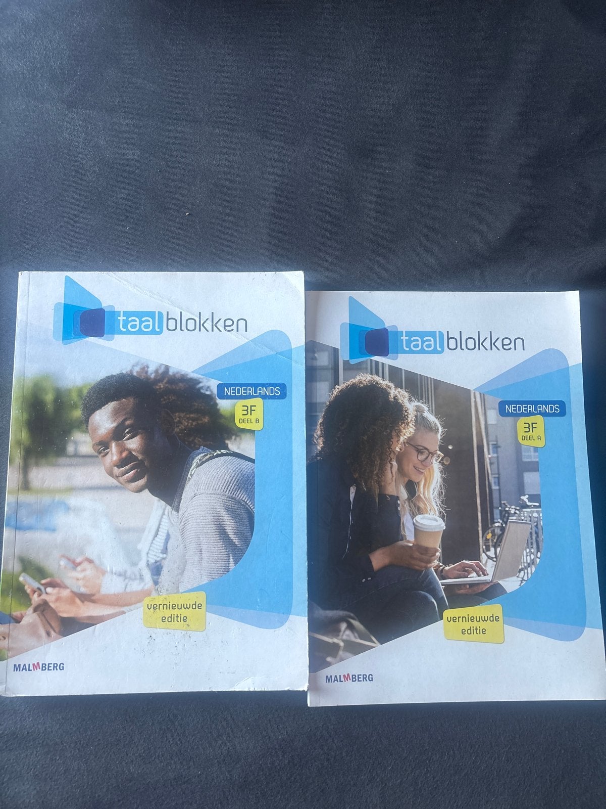 Taalblokken Nederlands 3F Deel A en B - Vernieuwde Editie, Ophalen, Gelezen, Overige niveaus, Nederlands