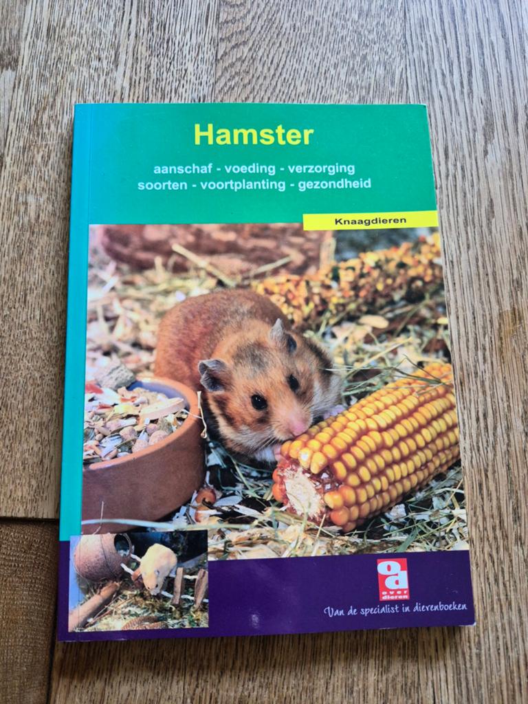 Hamster: Alles over aanschaf, voeding en verzorging, Ophalen of Verzenden