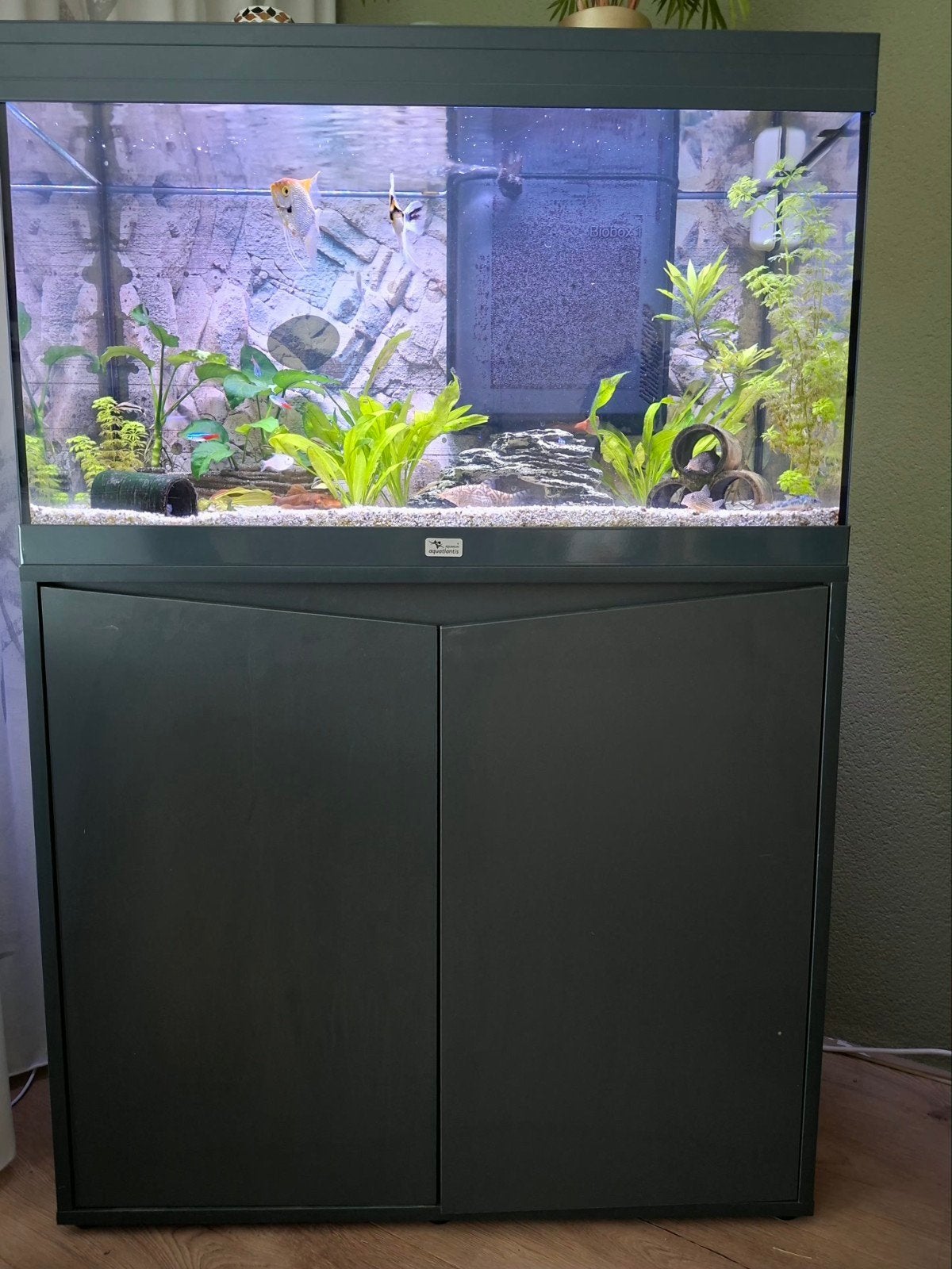 Tk complete aquarium aqualantis 120 l met vissen, Ophalen, Gevuld zoetwateraquarium