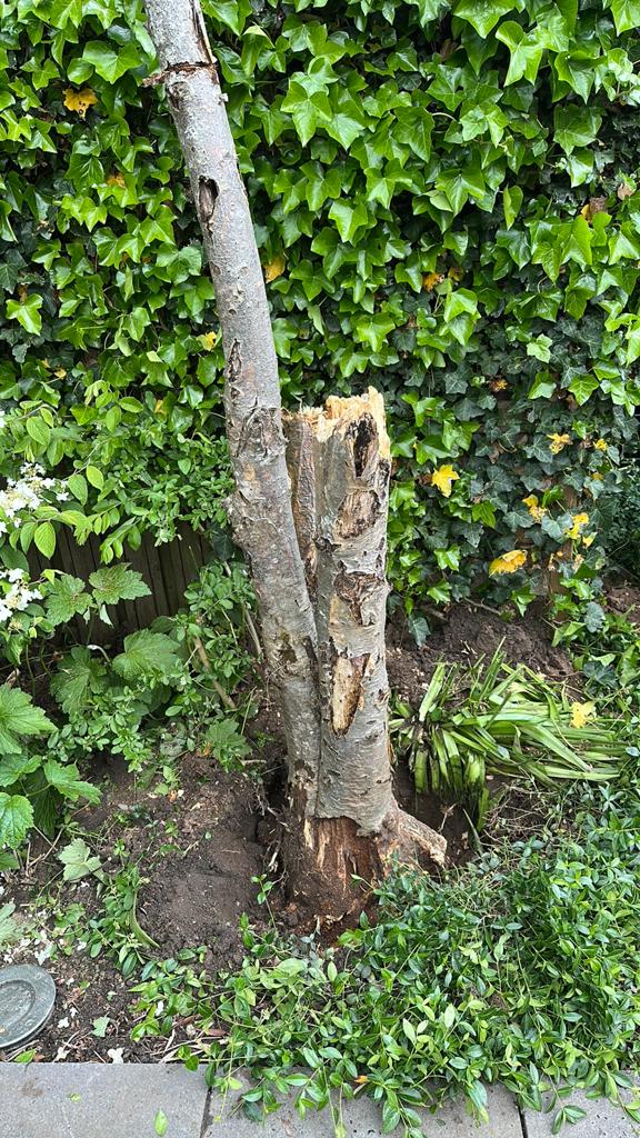 gratis haardhout, Minder dan 3 m³, Ophalen