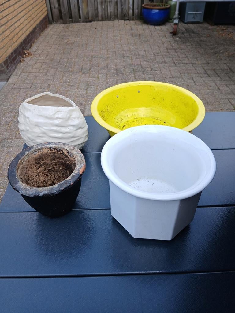 Bloempotten Gratis, Ophalen of Verzenden, Halfschaduw, Minder dan 100 cm