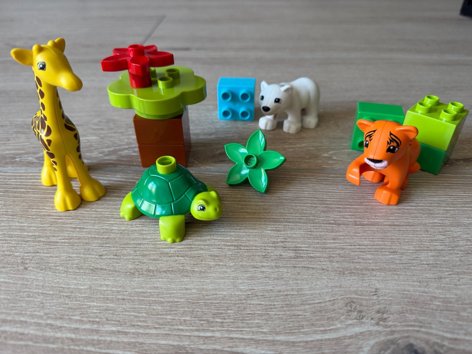 Lego Duplo around the world set 10801 baby animals, Ophalen, Inclusief minifiguren, Gebruikt, Overige thema's
